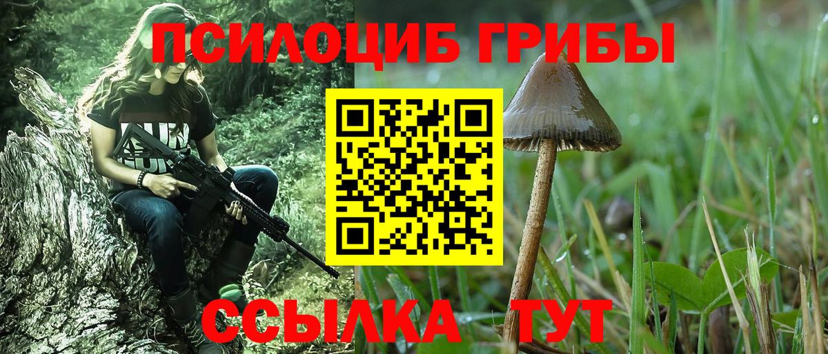 Псилоцибиновые грибы Psilocybe Карпинск