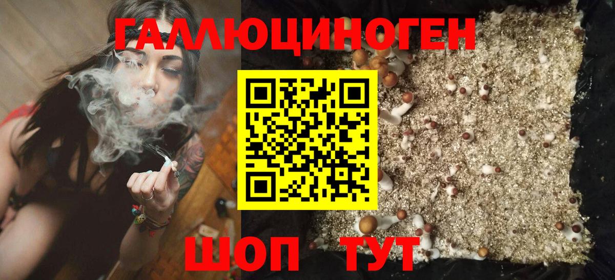 сколько стоит  Вход с VPN  Карпинск  Псилоцибиновые грибы мицелий 